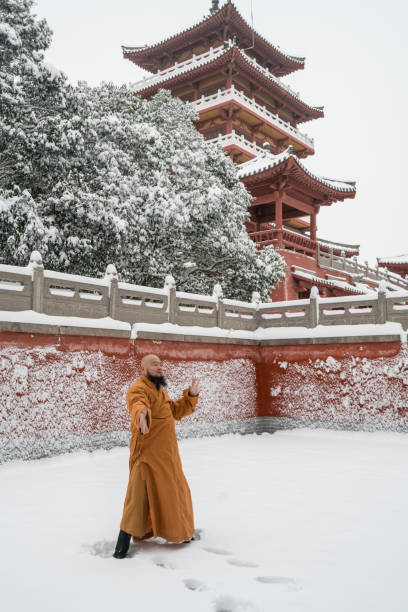 guerriero monaco kung fu nel tempio shaolin cina - shaolin warrior monk foto e immagini stock