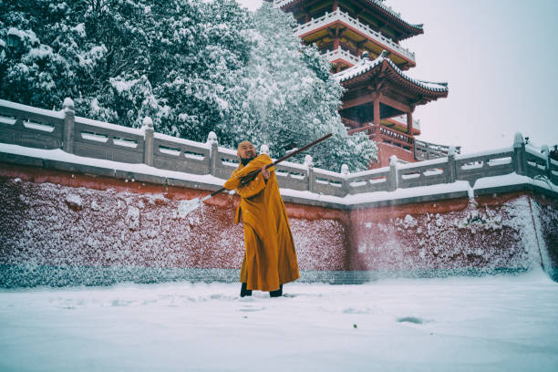 guerriero monaco kung fu nel tempio shaolin cina - shaolin warrior monk foto e immagini stock