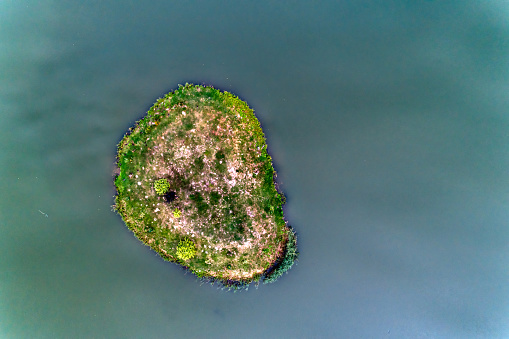 A tiny island in the middle of the lake. Aerial view. Top view.