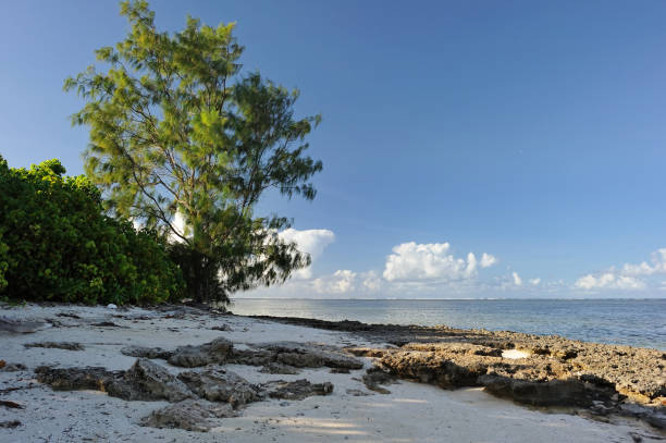 istock Platte Island, Seychelles. 1097894330