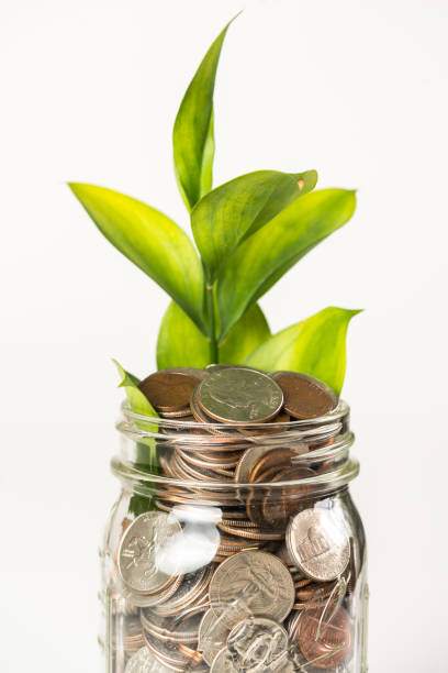 istock Growing plant from a jar full of coins 1097894568
