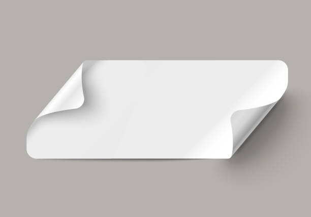 투명에 곡선된 모서리와 벡터 현실적인 백서 스트라이프. - peel label sticky paper stock illustrations