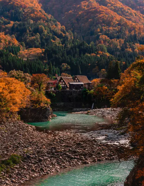 Traditional House at Shirakawa-go village in Autumn Season on October in Japan with a small blue river in foreground. There is a famous historic village. And has been inscribed by The UNESCO.