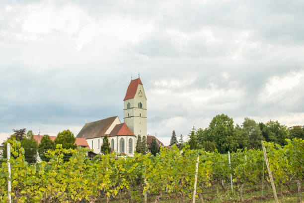 kościół w pobliżu winnicy jeziora bodensee - hagnau zdjęcia i obrazy z banku zdjęć