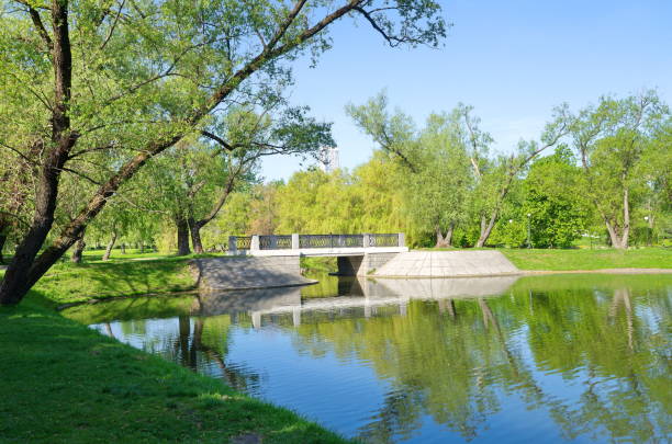 istock Pond at Novodevichy convent in Moscow, Russia 1097906612