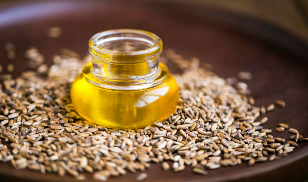 istock Silybum marianum oil milk thistle 1097907004