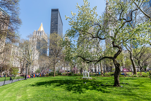 The sun shines on a spring day in New York City's Union Square Park.