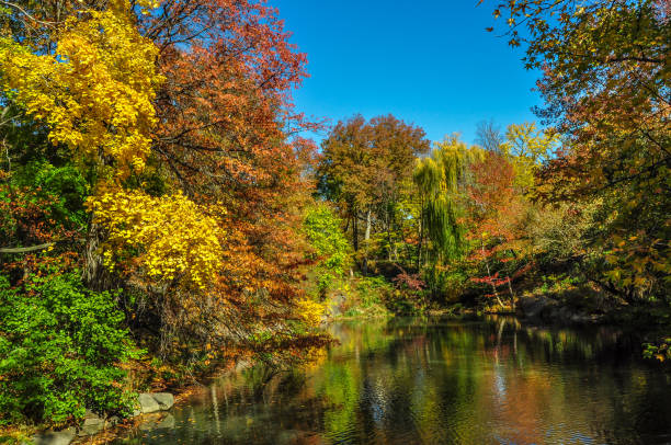 istock Fall Refections in a Central Park Pond 1097910972
