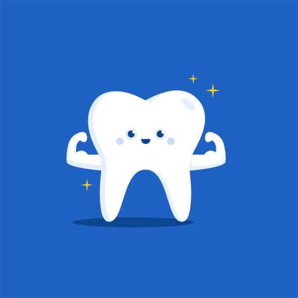 Illustration of Healthy teeth. Vector color illustration of Healthy teeth. Vector character tooth enamel stock illustrations