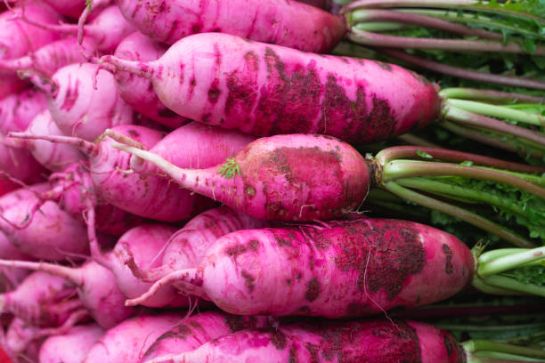 緑の茎とピンクの有機大根山。野菜。 - radish isolated bunch vegetable ストックフォトと画像