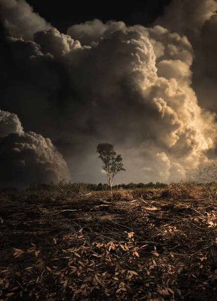 Wildfire and deforestation in Thailand. stock photo