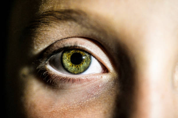 istock Green eyes, macro child close up eyes 1097916752