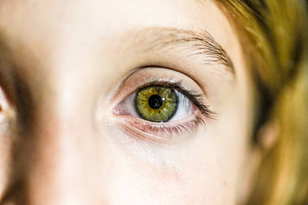 istock Green eyes, macro child close up eyes 1097917866