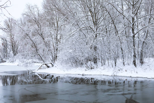 istock Foggy winter landscape with frosted trees 1097920652
