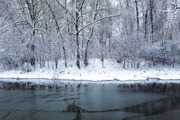 istock Foggy winter landscape with frosted trees 1097920688