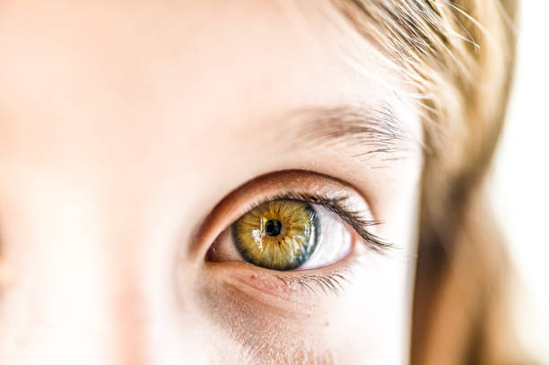 istock Green eyes, macro child close up eyes 1097920866