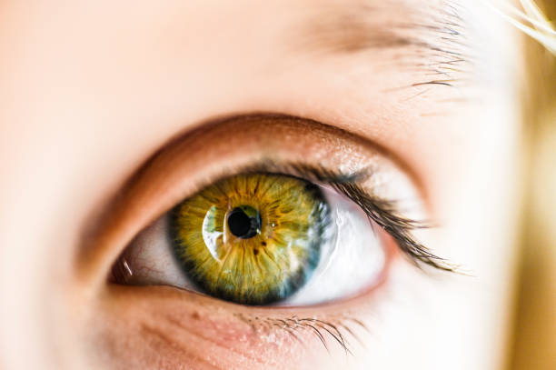 istock Green eyes, macro child close up eyes 1097922598