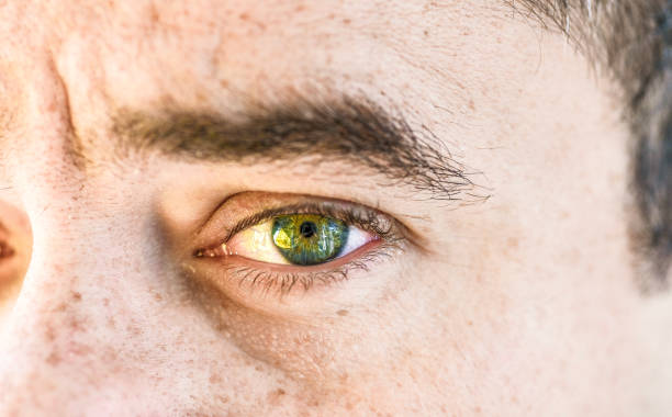 istock Green eyed man macro closeup 1097923122
