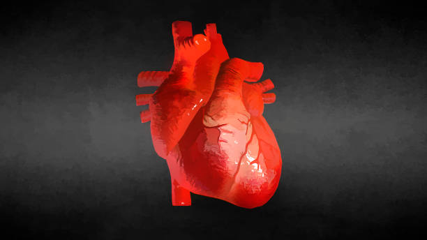 istock Watercolor Realistic Human Heart On Black Background. 3D illustration 1097946348