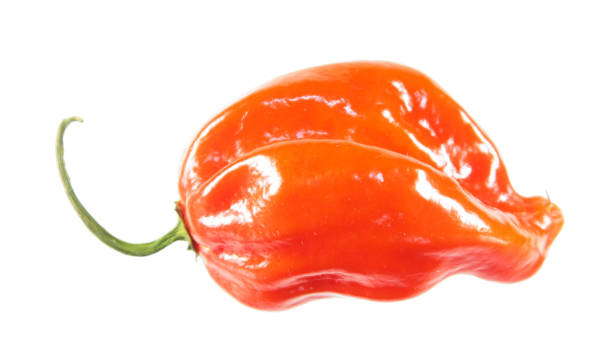 istock Red habanero pepper isolated on white background 1097950914
