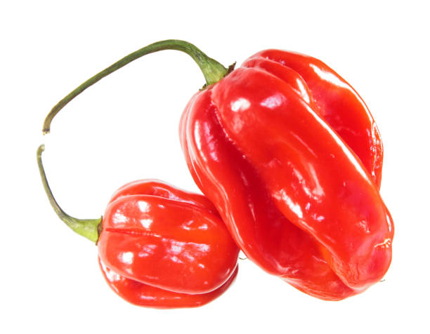 istock Red habaneros peppers isolated on white background 1097951030