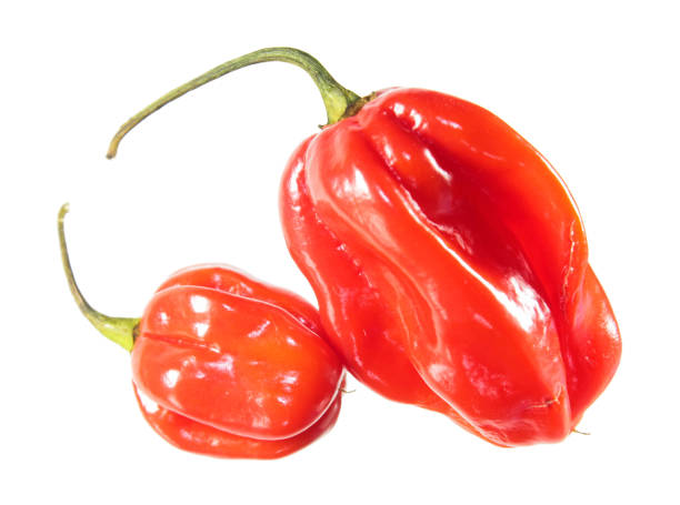 istock Red habaneros peppers isolated on white background 1097951066