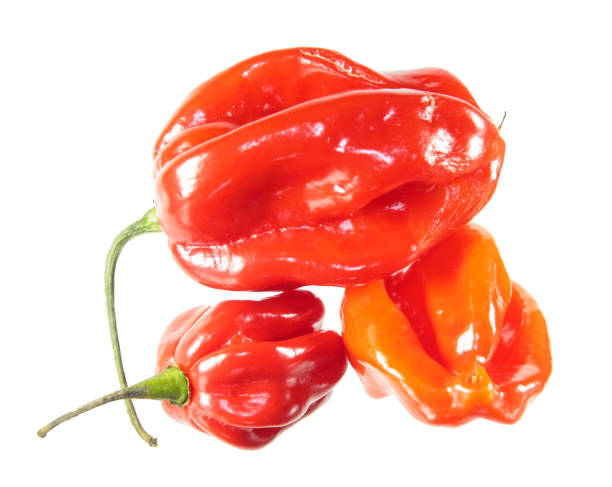 istock Red and orange habaneros peppers isolated on white background 1097951088
