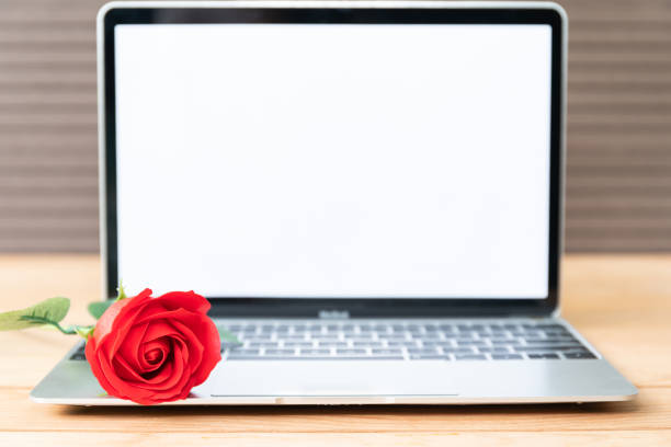 istock Red rose and laptop mockup on wood 1097951998