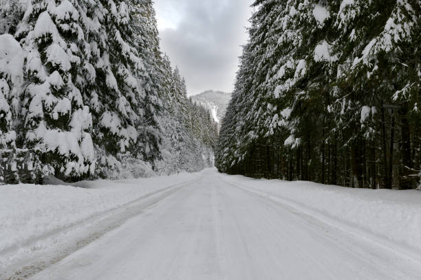 istock White winter snowy mountain road 1097955682