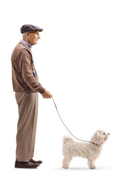 istock Elderly man with a small dog waiting in line 1097964466