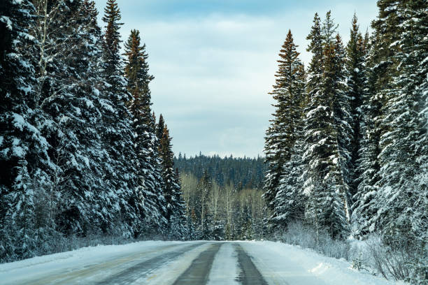 istock Snow and ice covered road through the Bow Valley Parkway with snowy pine trees on both sides. No cars 1097968148