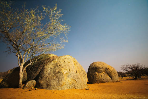Photo of a landscape in the Namibian Desert at night.