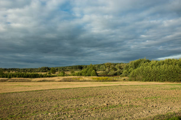 istock Plowed large field and meadow, green forest and dark rainy clouds 1097970586