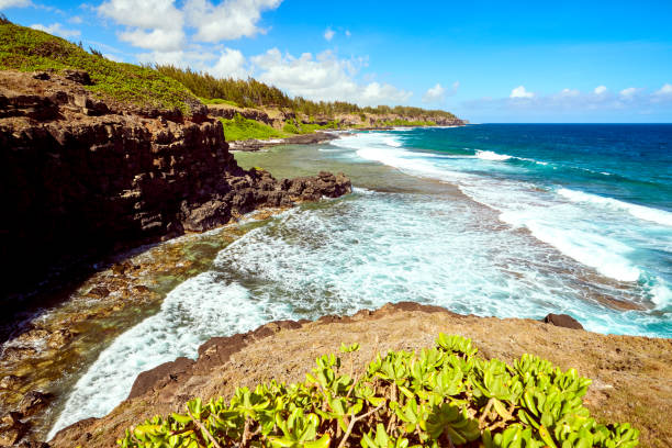 istock Grey Grey Beach, the weeping rock, Mauritius Island 1097974456