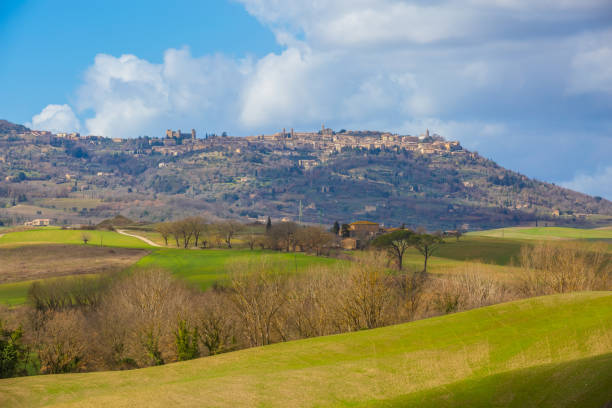 View of Montalcino (Tuscany, Italy) stock photo