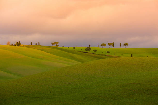 Bright evening Tuscany landscape stock photo