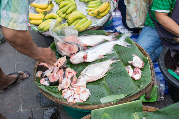istock fresh fish in the market at Uthai Thani,Thailand 1097975156