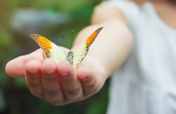 Photo of Child with a butterfly. Idea leuconoe. Selective focus.