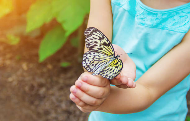 istock Child with a butterfly. Idea leuconoe. Selective focus. 1097975562