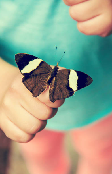 istock Child with a butterfly. Idea leuconoe. Selective focus. 1097975564