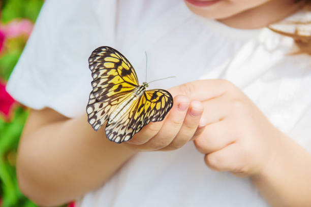 istock Child with a butterfly. Idea leuconoe. Selective focus. 1097975568