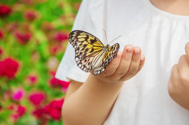 istock Child with a butterfly. Idea leuconoe. Selective focus. 1097975580