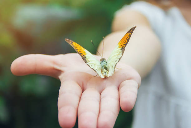 istock Child with a butterfly. Idea leuconoe. Selective focus. 1097975582