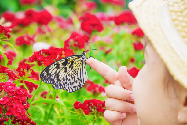 istock Child with a butterfly. Idea leuconoe. Selective focus. 1097975584