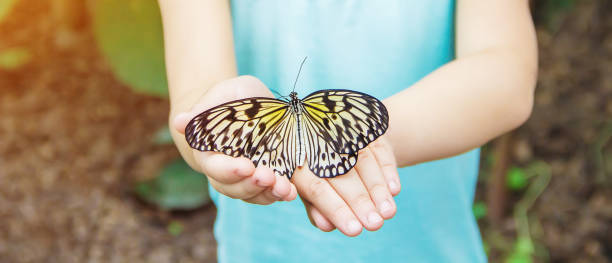 istock Child with a butterfly. Idea leuconoe. Selective focus. 1097975590