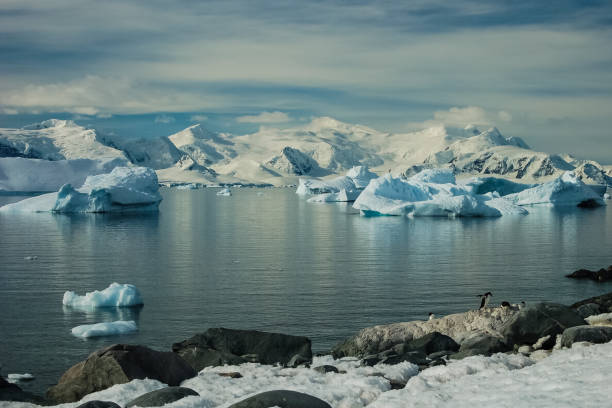 The landscape of the coast of Antarctica The landscape of the coast of Antarctica, Mountains covered with snow and ice-cold ocean. polar climate stock pictures, royalty-free photos & images