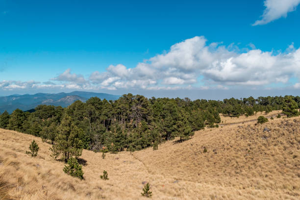 istock Green landscape on blue sky 1098000326