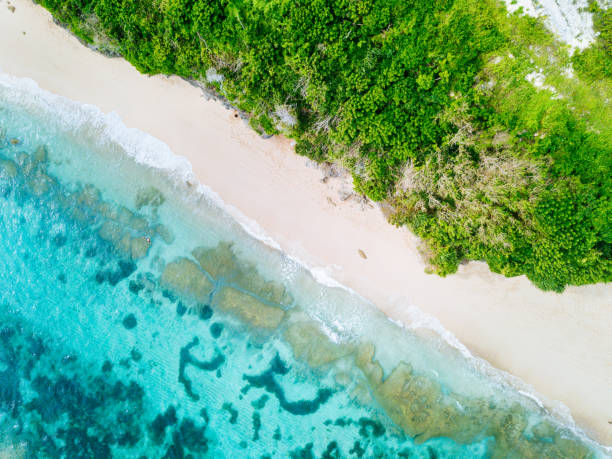 istock Bali - beach from above. Straight drone shot 1098004830