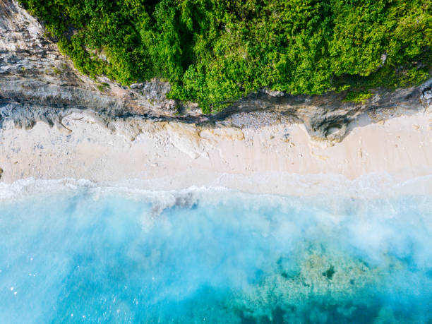 istock Bali - beach from above. Straight drone shot 1098004846