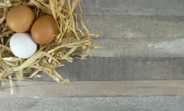 Chicken eggs in nest with at wooden background